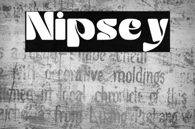 Nipsey Font examples
