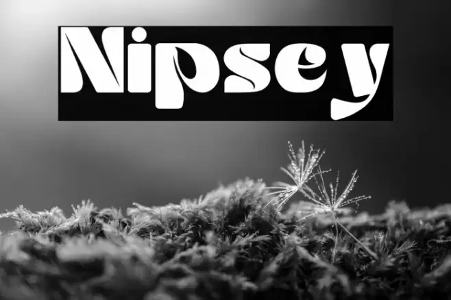 Nipsey Font examples