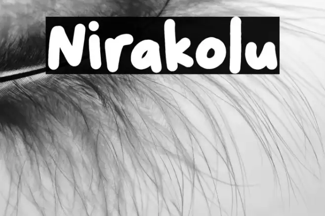 Nirakolu Example 2