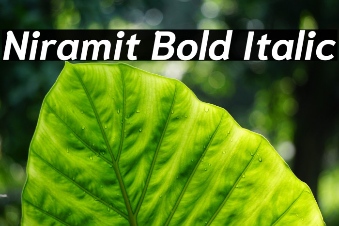 Niramit Bold Italic Font examples