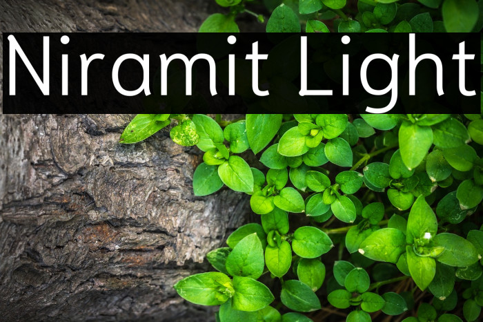 Niramit Light Example 3