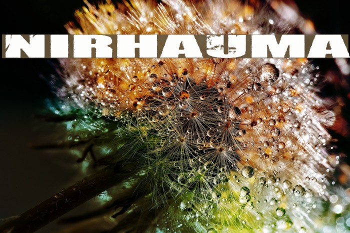 Nirhauma Font examples