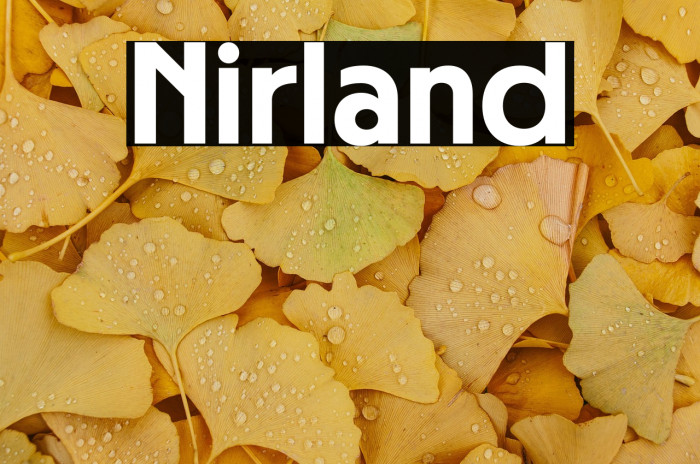 Nirland Example 2