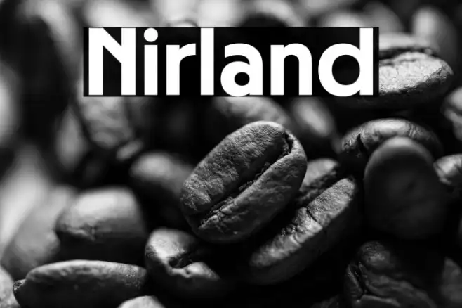 Nirland Example 3