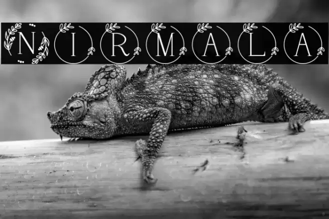 Nirmala Font examples