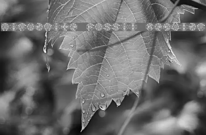 Nirvanite Fossil Regular Font examples