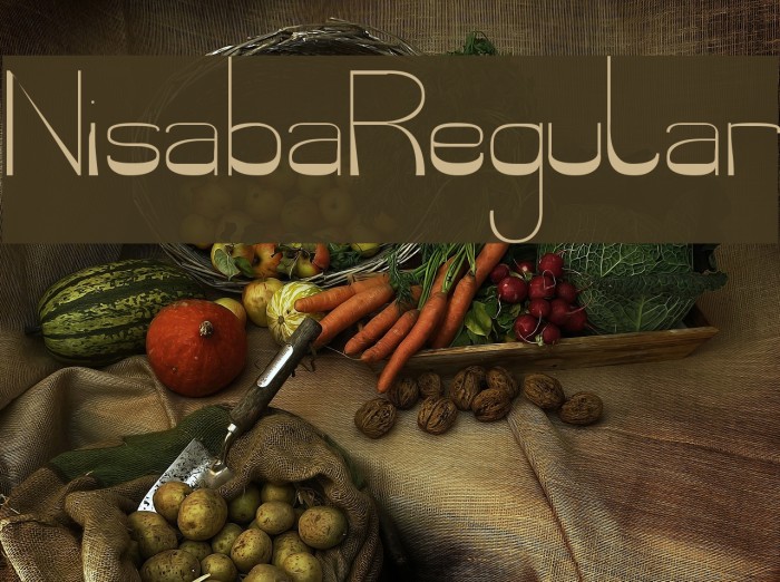 NisabaRegular Font examples