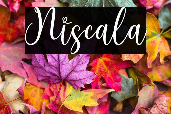 Niscala Font examples