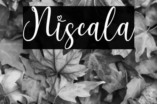 Niscala Font examples