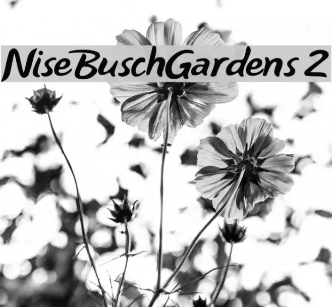 NiseBuschGardens 2 Example 3