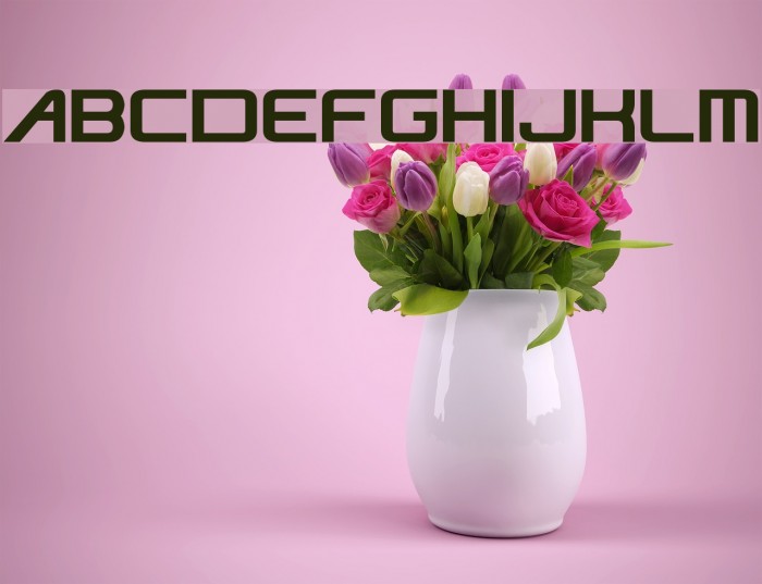 NiseJSRF Шрифта examples