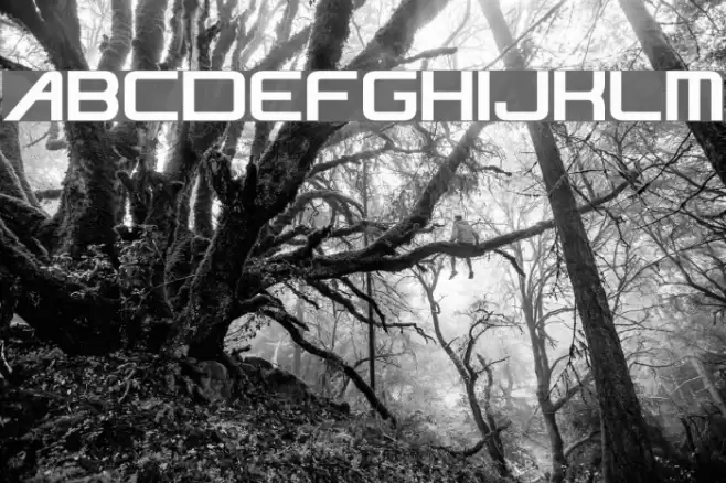 NiseJSRF Font examples