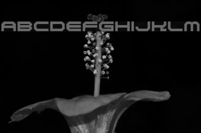 NiseSegaSports2k3 フォント examples