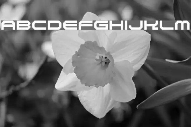 NiseSegaSports2k3 フォント examples