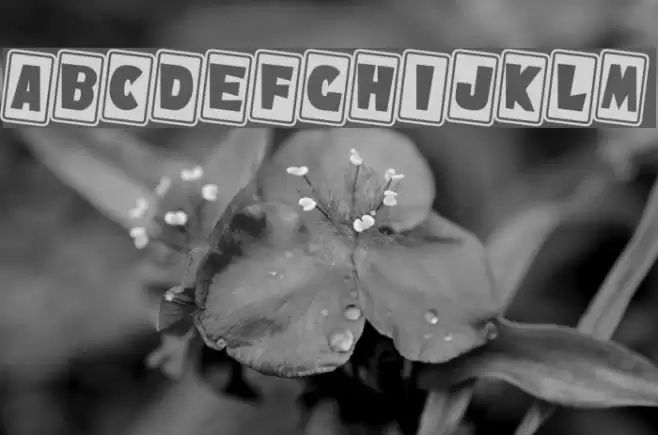 NiseSonicShuffle Font examples