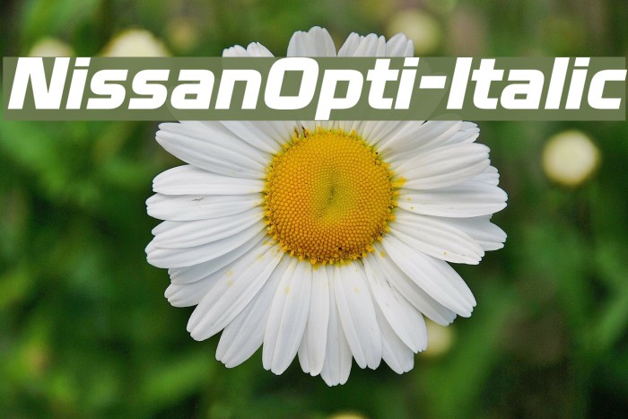 NissanOpti-Italic Font examples