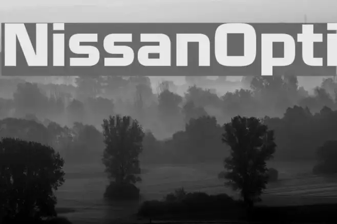NissanOpti Example 3