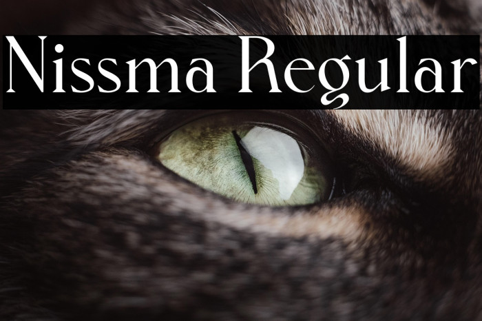 Nissma Regular Example 1