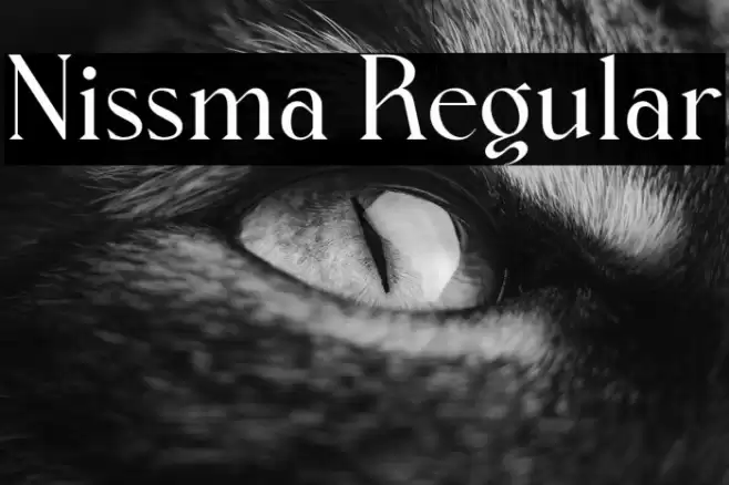 Nissma Regular Font examples