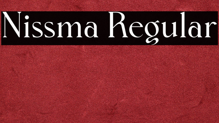 Nissma Regular Example 2