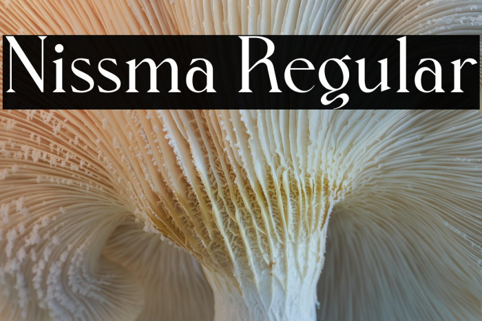 Nissma Regular Example 3