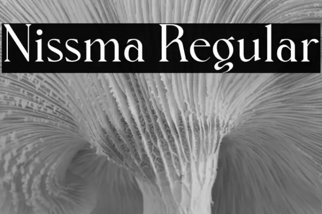 Nissma Regular Font examples