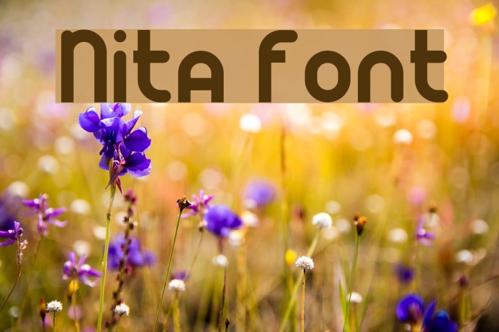 Nita Font examples