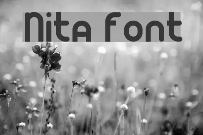Nita Font examples