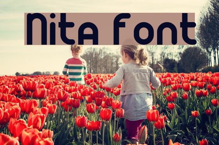 Nita Font examples