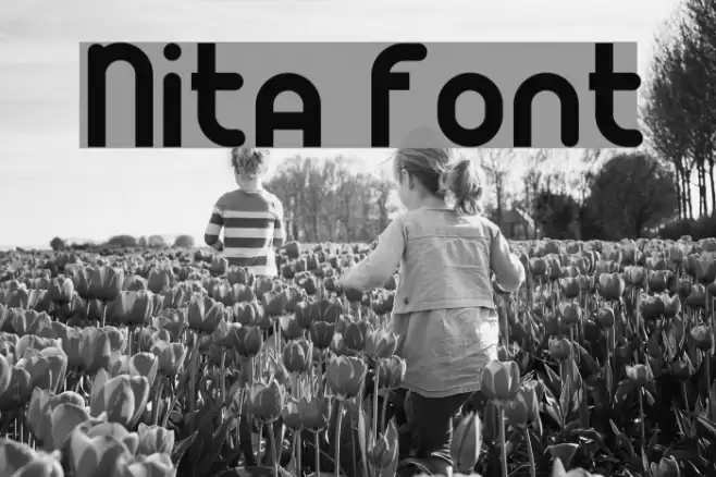 Nita Font examples