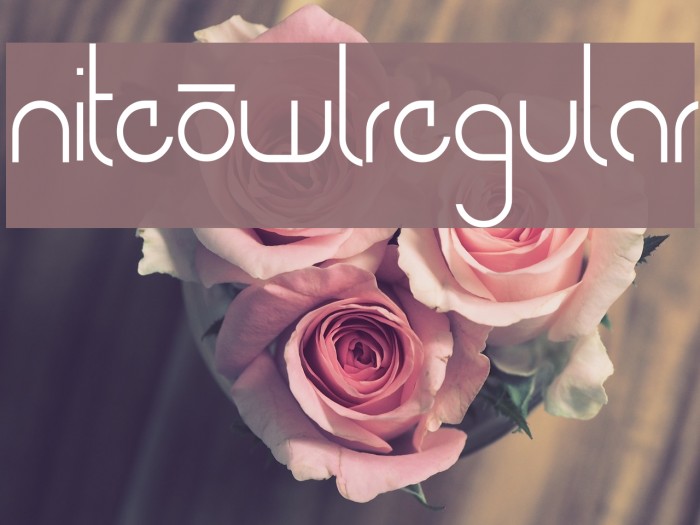 NiteOwl-Regular Example 2