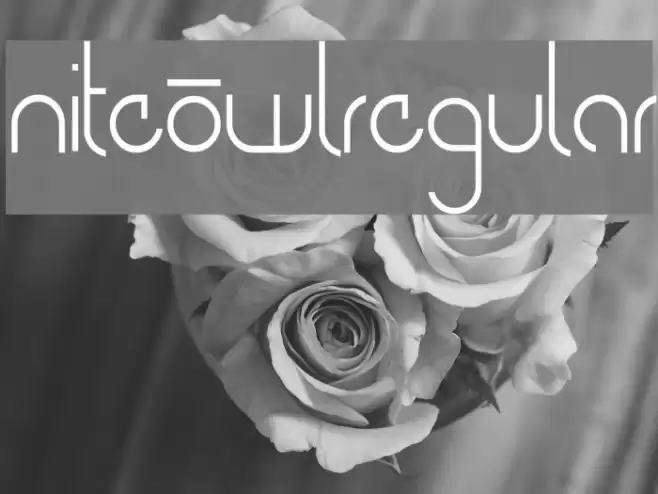 NiteOwl-Regular Font examples