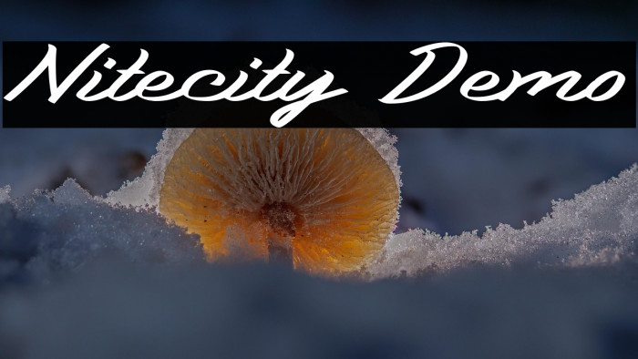 Nitecity Demo Example 1