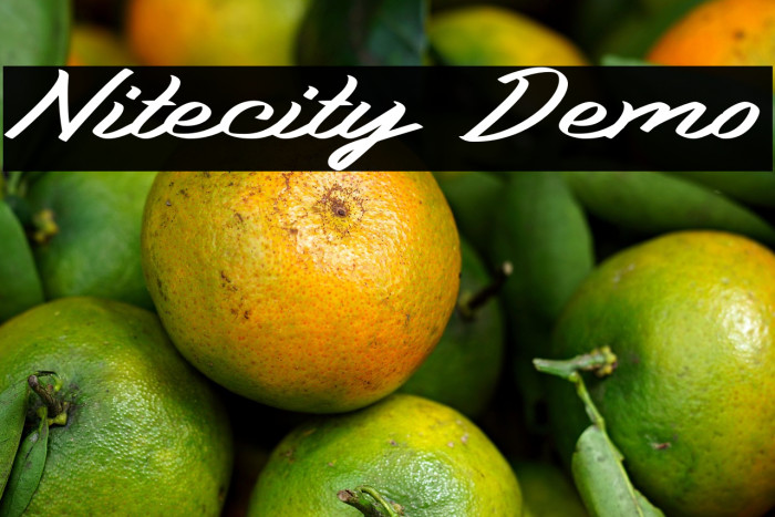 Nitecity Demo Example 3