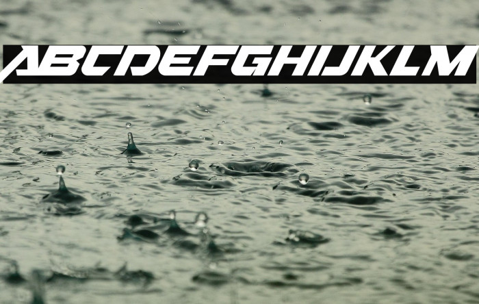 Nitro Chargers Personal Used Example 1