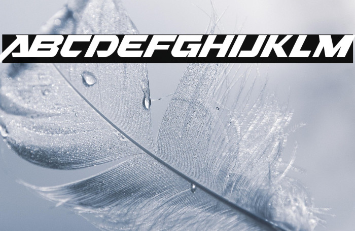 Nitro Chargers Personal Used Example 2