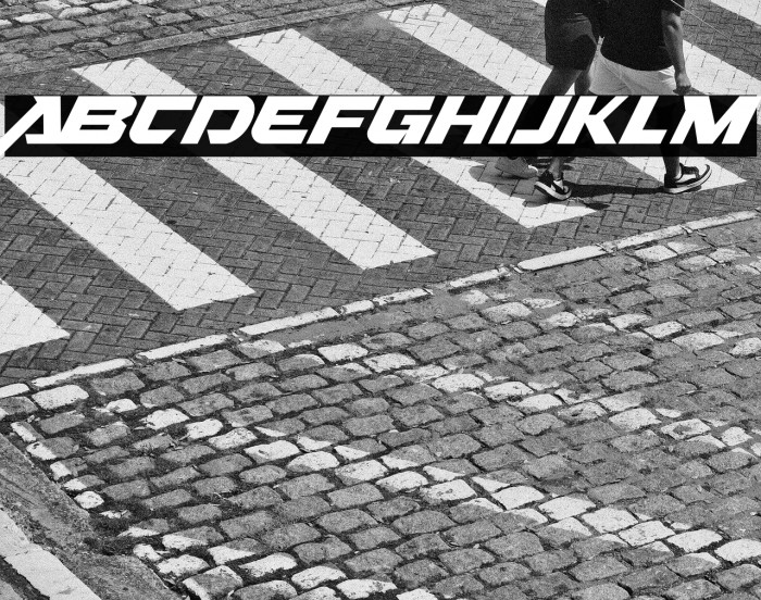 Nitro Chargers Personal Used Example 3