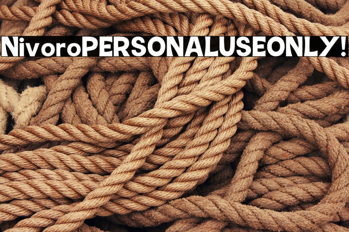 Nivoro PERSONAL USE ONLY! Example 1