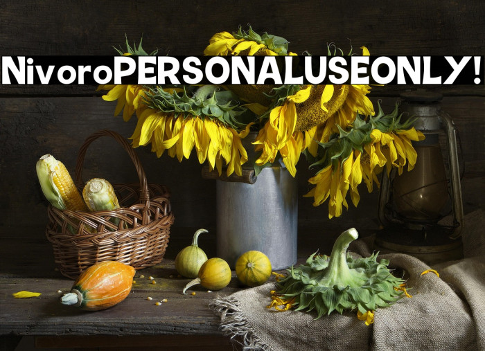 Nivoro PERSONAL USE ONLY! Example 3