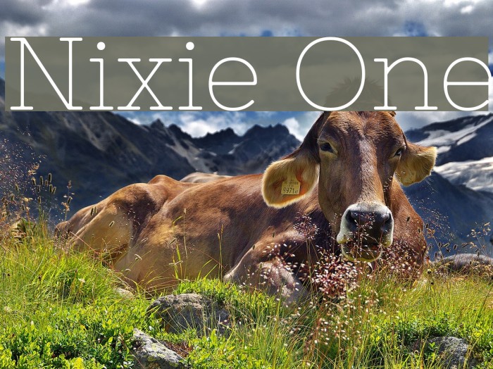 Nixie One Font examples