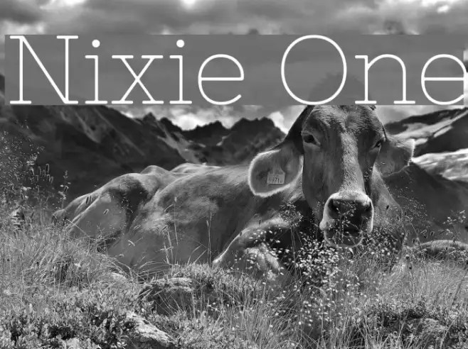 Nixie One Example 2