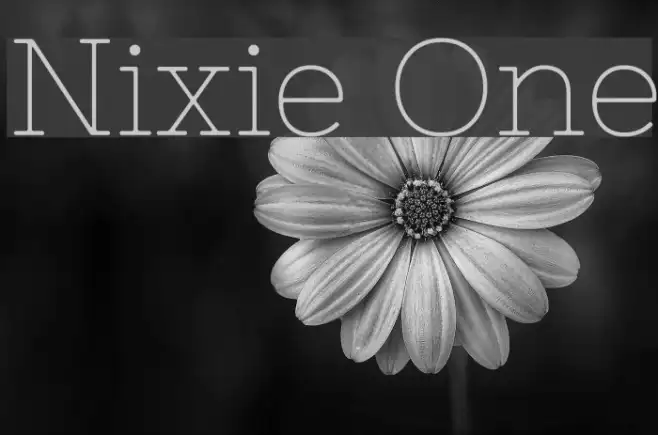 Nixie One Example 3