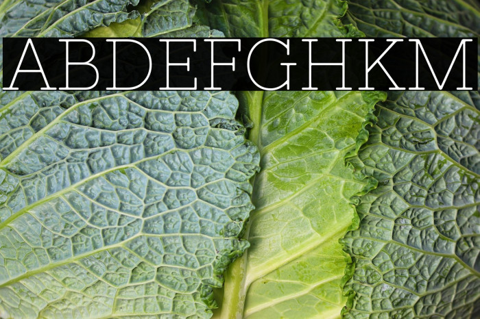 Nixie One2 Example 3