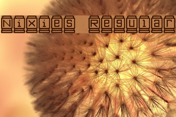 Nixies Regular Font examples