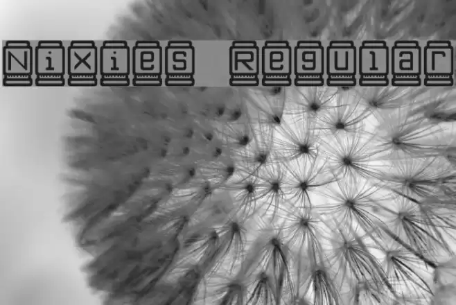 Nixies Regular फ़ॉन्ट examples