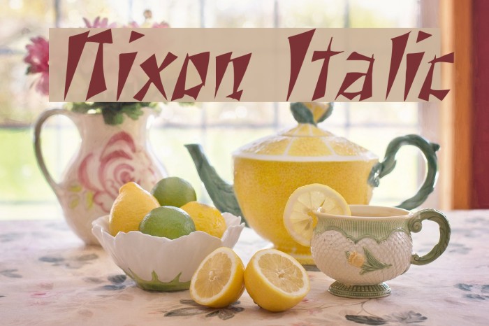 Nixon Italic Example 1