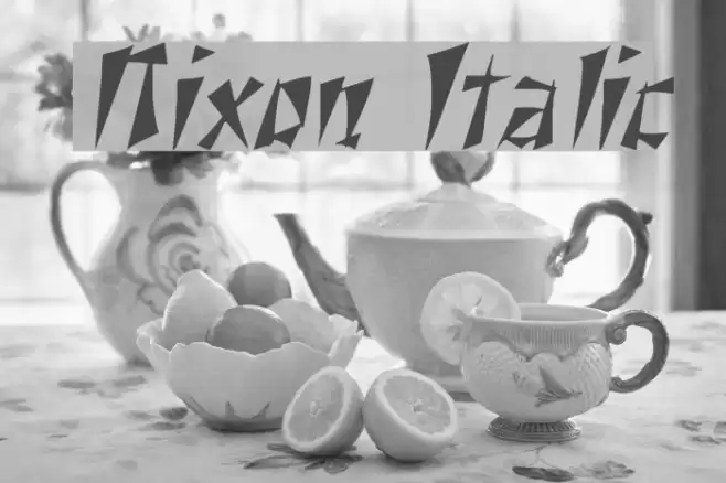 Nixon Italic Font examples