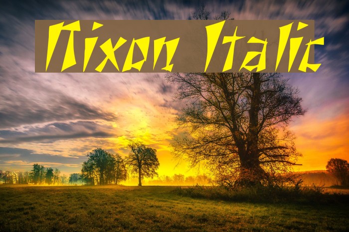 Nixon Italic Example 2