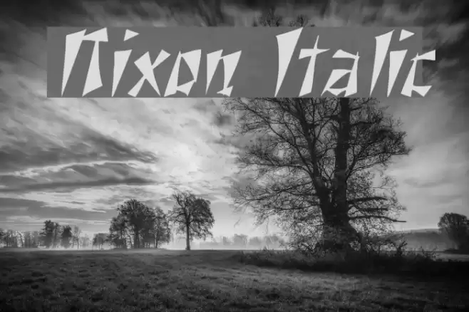 Nixon Italic Font examples