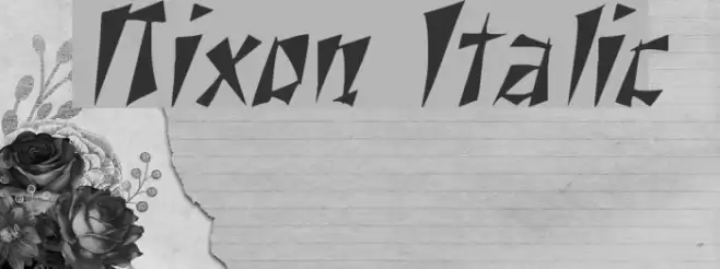 Nixon Italic Font examples